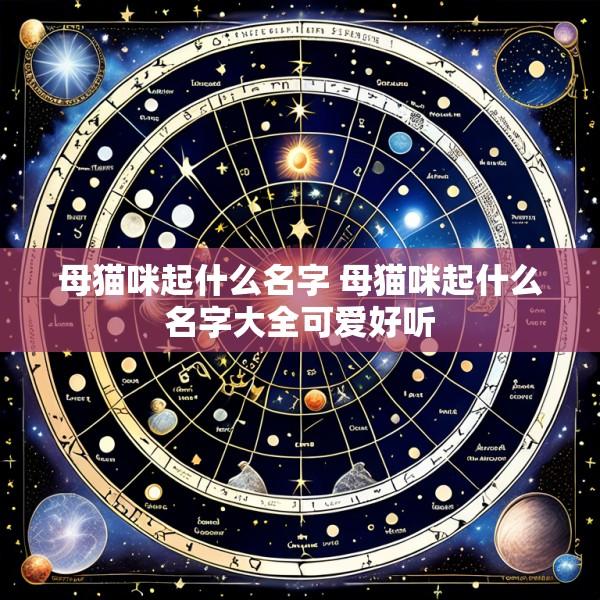 母猫咪起什么名字 母猫咪起什么名字大全可爱好听