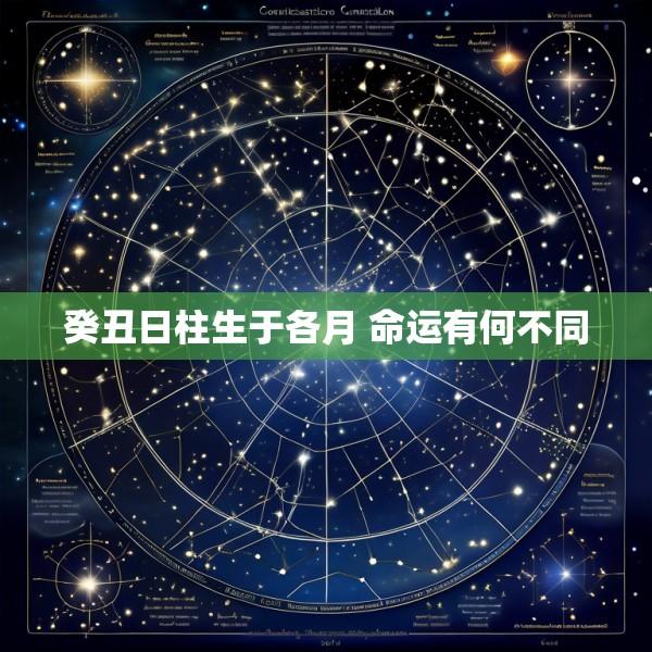 癸丑日柱生于各月 命运有何不同