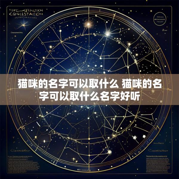 猫咪的名字可以取什么 猫咪的名字可以取什么名字好听