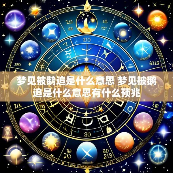 梦见被鹅追是什么意思 梦见被鹅追是什么意思有什么预兆