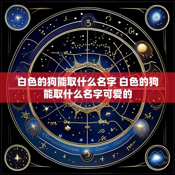 白色的狗能取什么名字 白色的狗能取什么名字可爱的