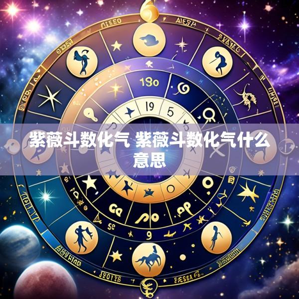 紫薇斗数化气 紫薇斗数化气什么意思