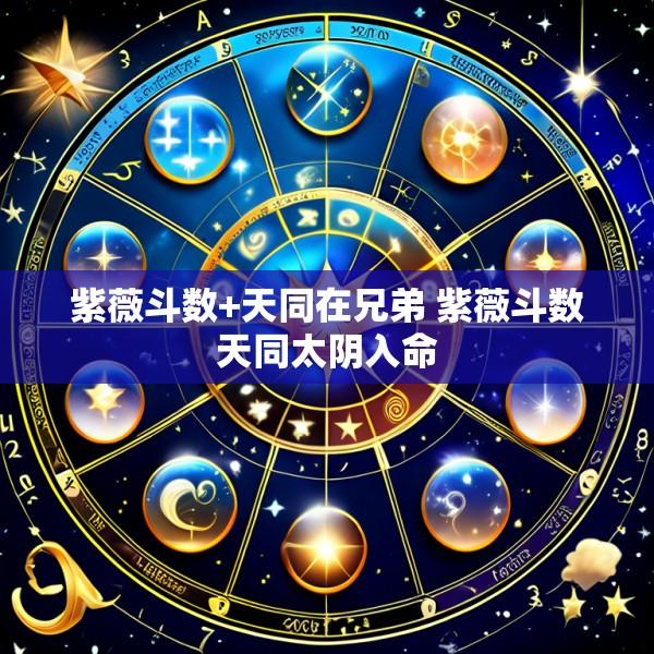 紫薇斗数+天同在兄弟 紫薇斗数天同太阴入命