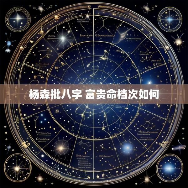 杨森批八字 富贵命档次如何