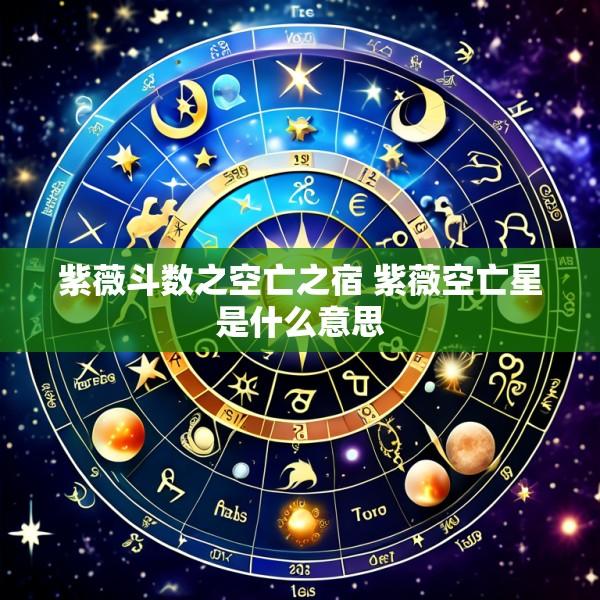 紫薇斗数之空亡之宿 紫薇空亡星是什么意思