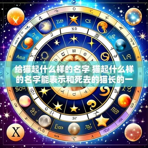 给猫起什么样的名字 猫起什么样的名字能表示和死去的猫长的一样