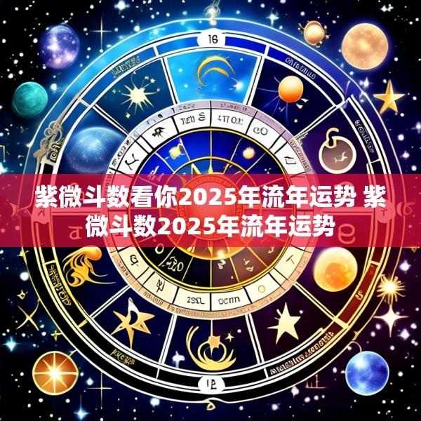 紫微斗数看你2025年流年运势 紫微斗数2025年流年运势