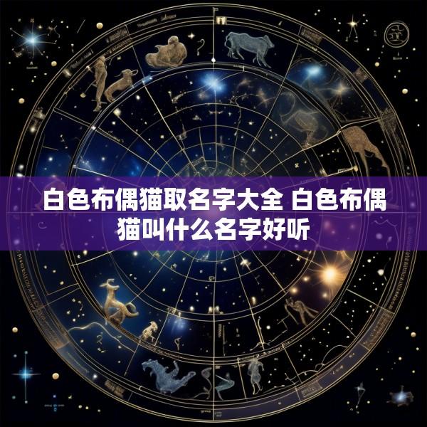 白色布偶猫取名字大全 白色布偶猫叫什么名字好听