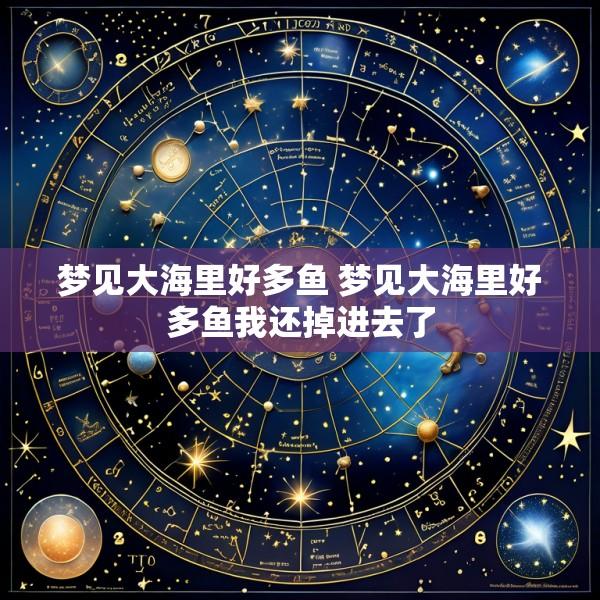 梦见大海里好多鱼 梦见大海里好多鱼我还掉进去了