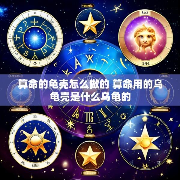 算命的龟壳怎么做的 算命用的乌龟壳是什么乌龟的