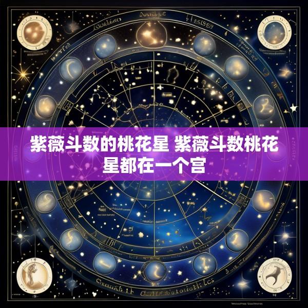 紫薇斗数的桃花星 紫薇斗数桃花星都在一个宫