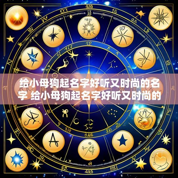 给小母狗起名字好听又时尚的名字 给小母狗起名字好听又时尚的名字有哪些