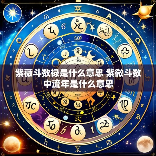 紫薇斗数禄是什么意思 紫微斗数中流年是什么意思