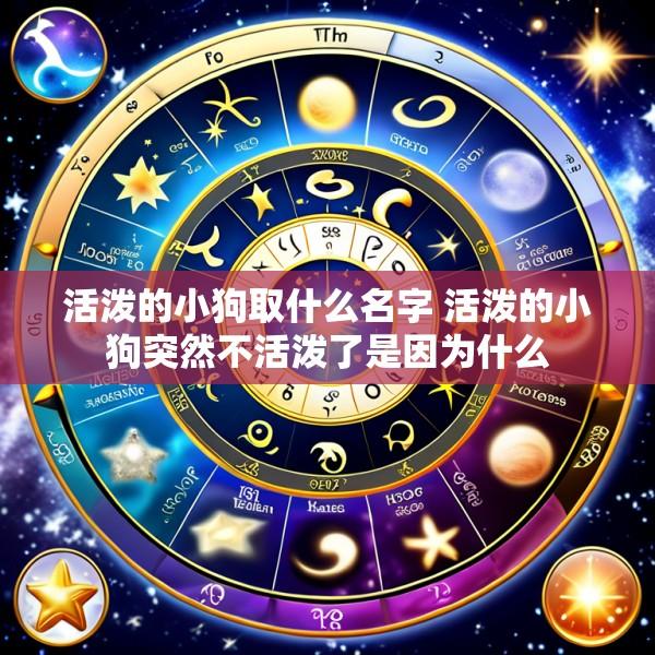 活泼的小狗取什么名字 活泼的小狗突然不活泼了是因为什么