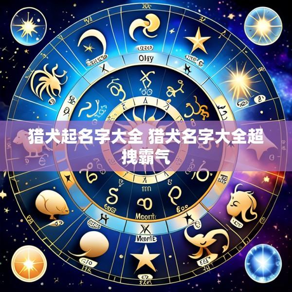 猎犬起名字大全 猎犬名字大全超拽霸气