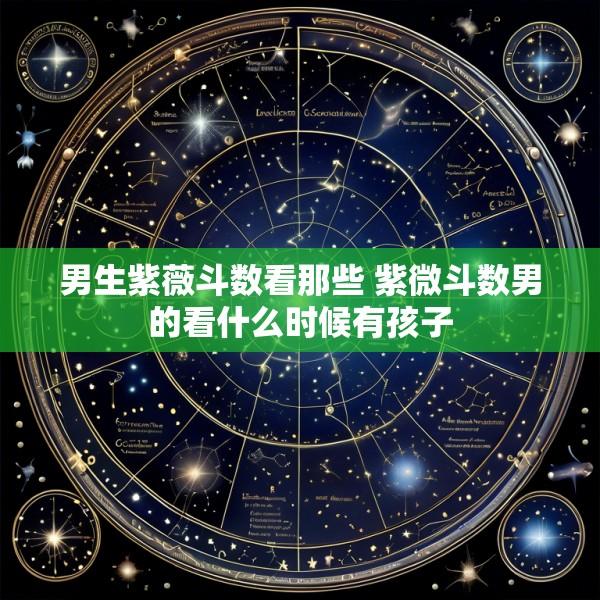 男生紫薇斗数看那些 紫微斗数男的看什么时候有孩子