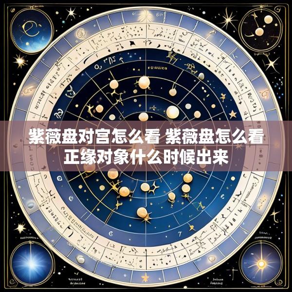 紫薇盘对宫怎么看 紫薇盘怎么看正缘对象什么时候出来