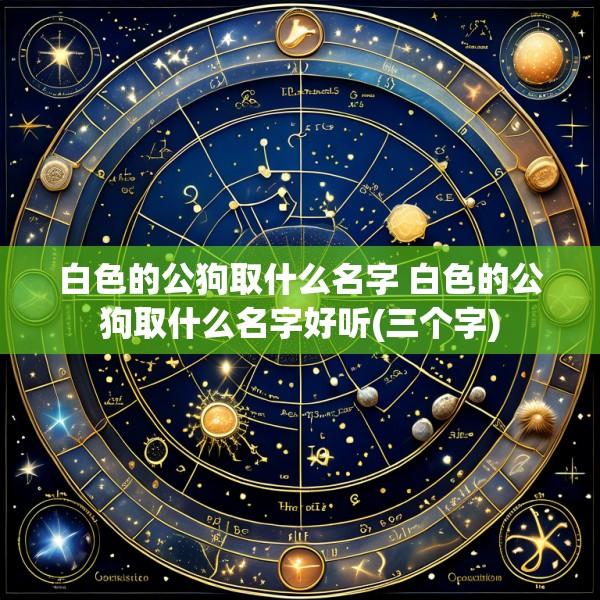 白色的公狗取什么名字 白色的公狗取什么名字好听(三个字)