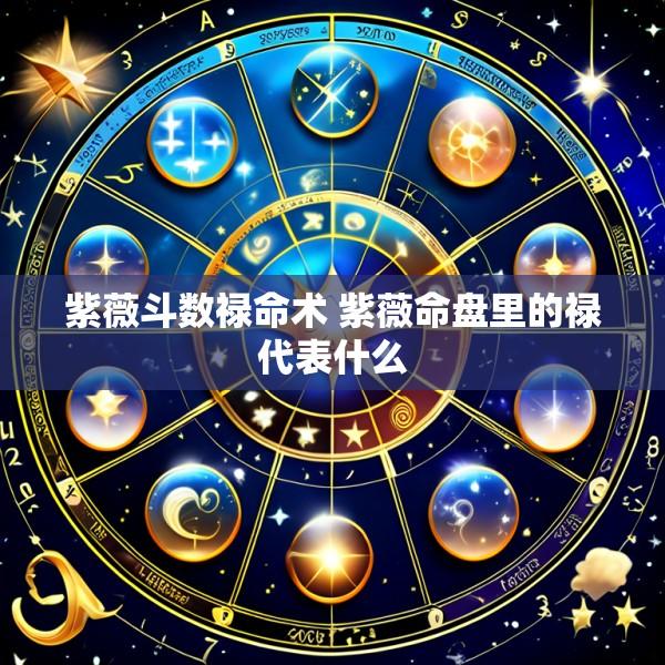 紫薇斗数禄命术 紫薇命盘里的禄代表什么