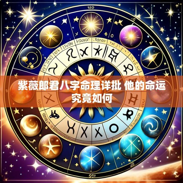 紫薇郎君八字命理详批 他的命运究竟如何