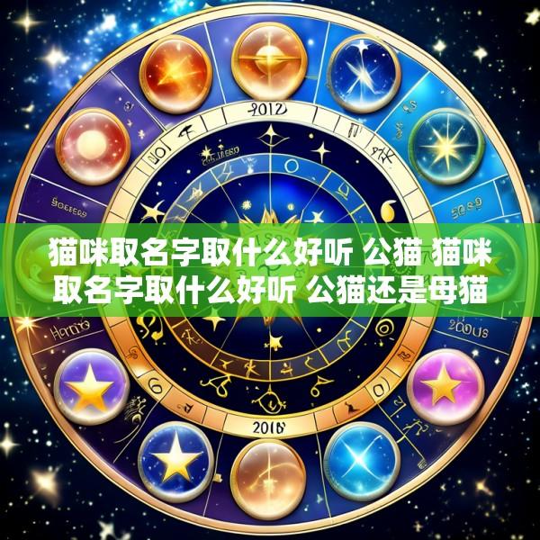 猫咪取名字取什么好听 公猫 猫咪取名字取什么好听 公猫还是母猫
