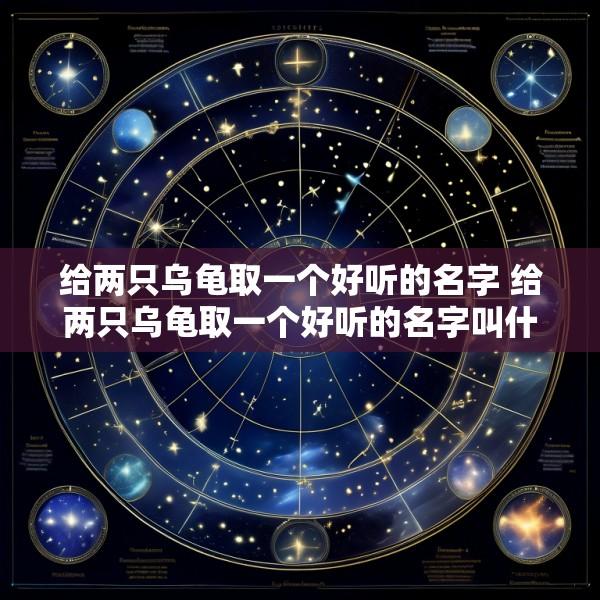 给两只乌龟取一个好听的名字 给两只乌龟取一个好听的名字叫什么