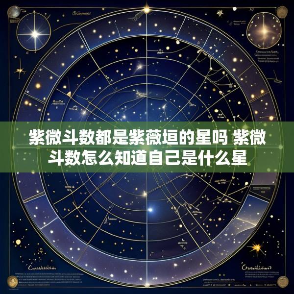紫微斗数都是紫薇垣的星吗 紫微斗数怎么知道自己是什么星