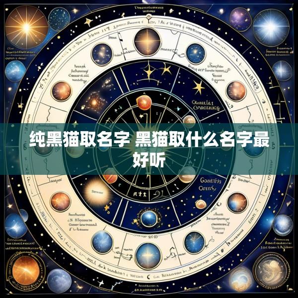 纯黑猫取名字 黑猫取什么名字最好听