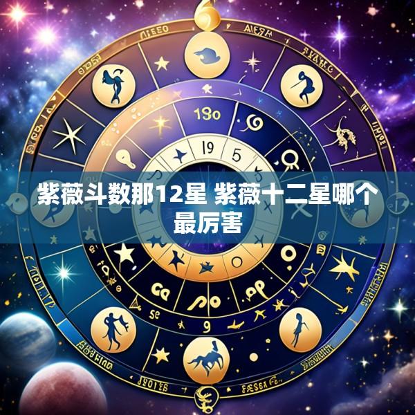紫薇斗数那12星 紫薇十二星哪个最厉害
