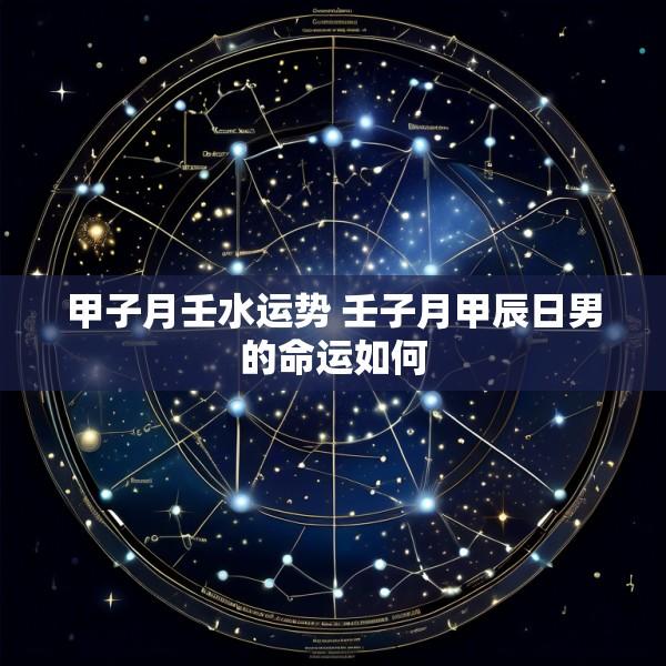 甲子月壬水运势 壬子月甲辰日男的命运如何