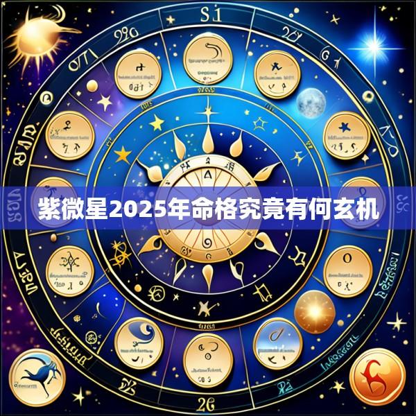 紫微星2025年命格究竟有何玄机