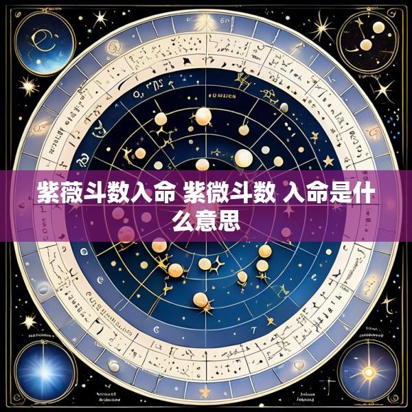 紫薇斗数入命 紫微斗数 入命是什么意思