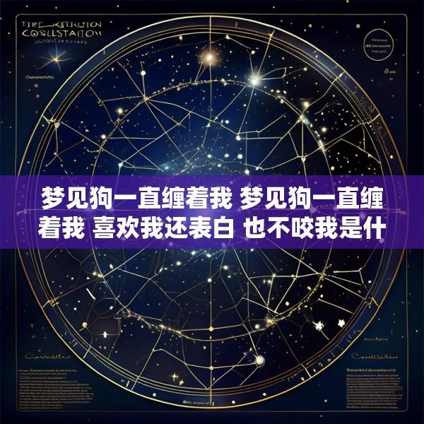 梦见狗一直缠着我 梦见狗一直缠着我 喜欢我还表白 也不咬我是什么意思