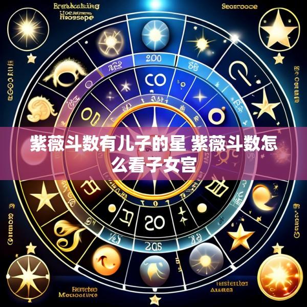 紫薇斗数有儿子的星 紫薇斗数怎么看子女宫