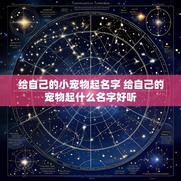 给自己的小宠物起名字 给自己的宠物起什么名字好听