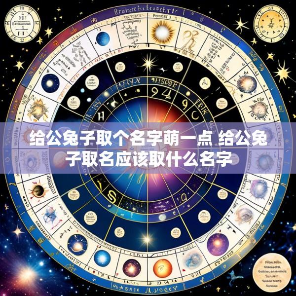 给公兔子取个名字萌一点 给公兔子取名应该取什么名字