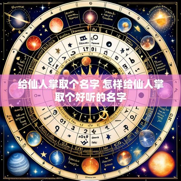 给仙人掌取个名字 怎样给仙人掌取个好听的名字