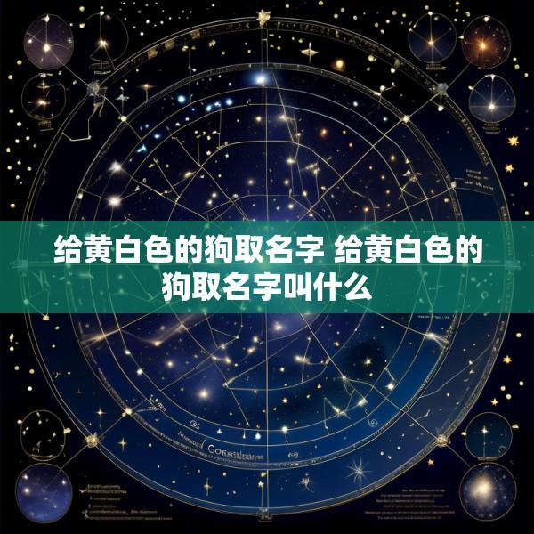 给黄白色的狗取名字 给黄白色的狗取名字叫什么