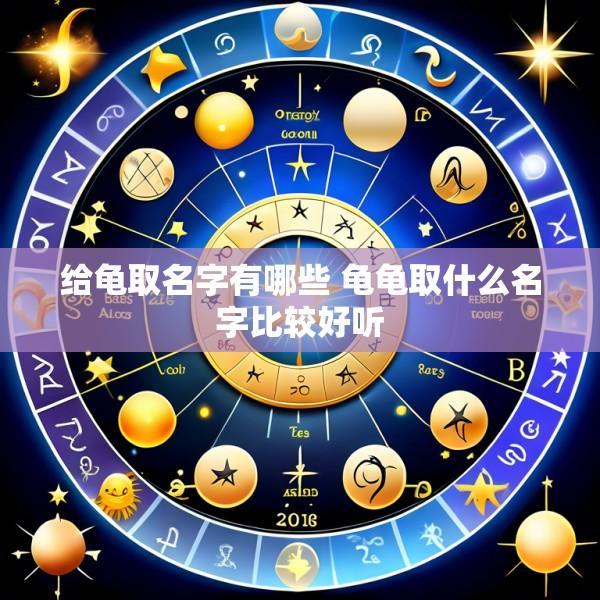 给龟取名字有哪些 龟龟取什么名字比较好听
