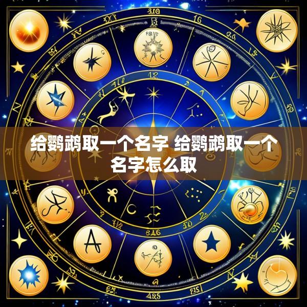 给鹦鹉取一个名字 给鹦鹉取一个名字怎么取