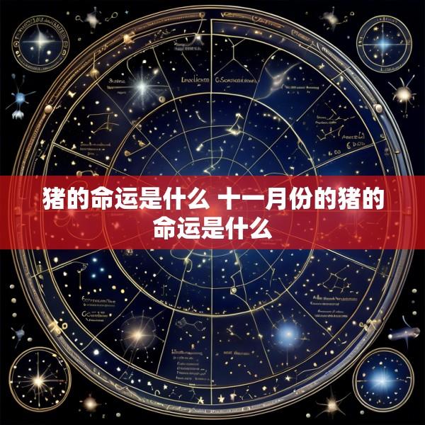 猪的命运是什么 十一月份的猪的命运是什么