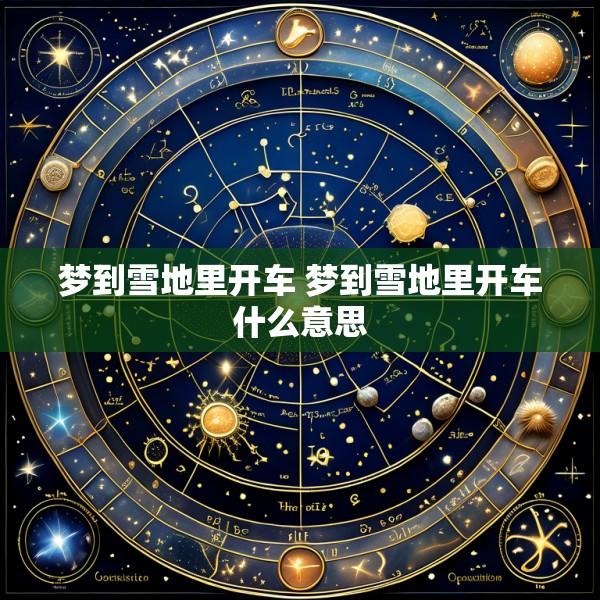 梦到雪地里开车 梦到雪地里开车什么意思