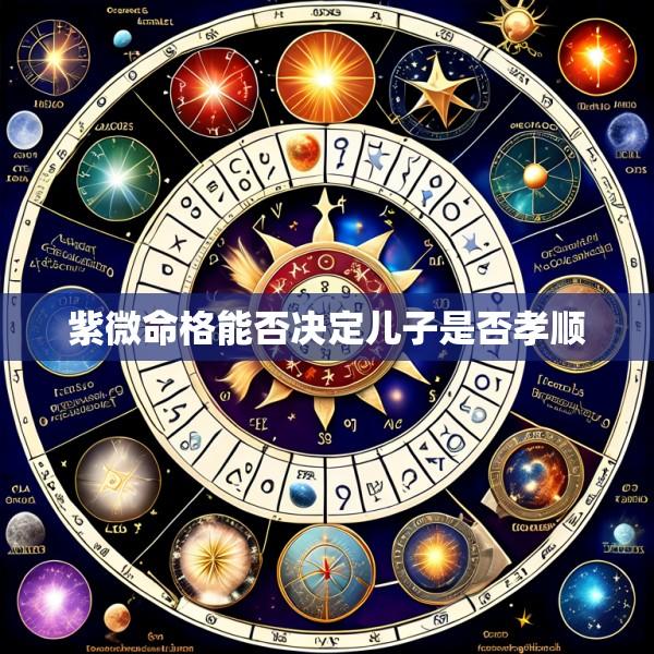 紫微命格能否决定儿子是否孝顺