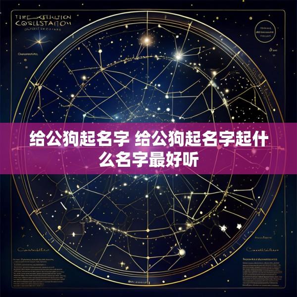 给公狗起名字 给公狗起名字起什么名字最好听