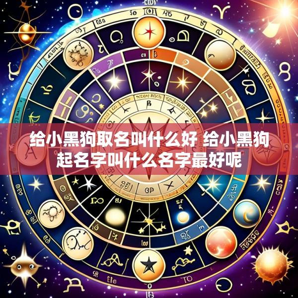 给小黑狗取名叫什么好 给小黑狗起名字叫什么名字最好呢