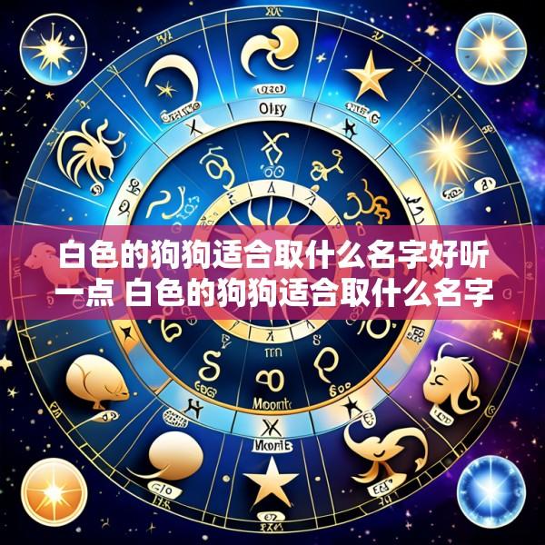 白色的狗狗适合取什么名字好听一点 白色的狗狗适合取什么名字好听一点女生