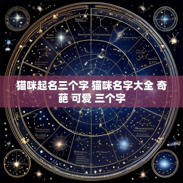 猫咪起名三个字 猫咪名字大全 奇葩 可爱 三个字