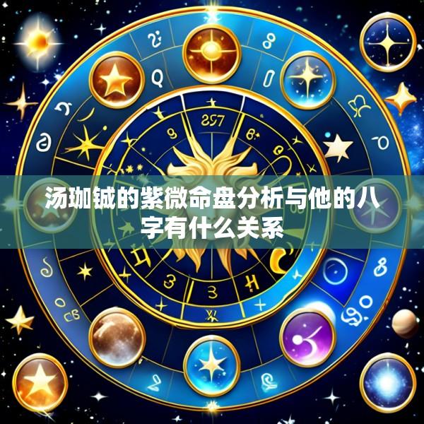 汤珈铖的紫微命盘分析与他的八字有什么关系