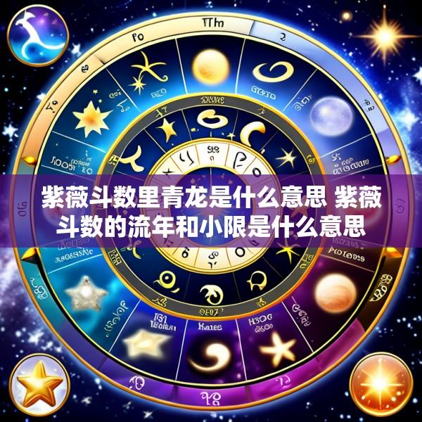 紫薇斗数里青龙是什么意思 紫薇斗数的流年和小限是什么意思