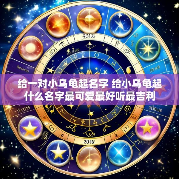 给一对小乌龟起名字 给小乌龟起什么名字最可爱最好听最吉利